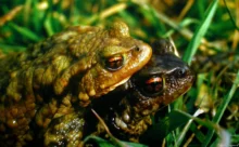 Loire-Atlantique - (Sony DSC W7)