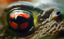 Loire-Atlantique - (Sony DSC W7)