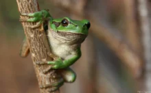 Loire-Atlantique - (Sony DSC W7)