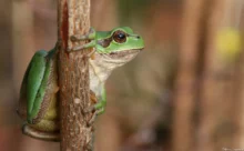 Loire-Atlantique - (Sony DSC W7)