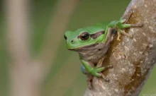 Loire-Atlantique - (Sony DSC W7)